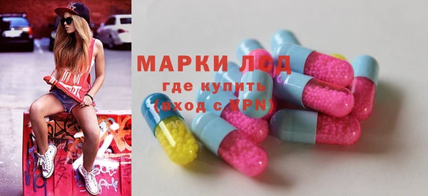 крисы Верхний Тагил