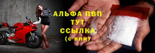 крисы Верхний Тагил
