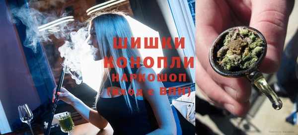 крисы Верхний Тагил
