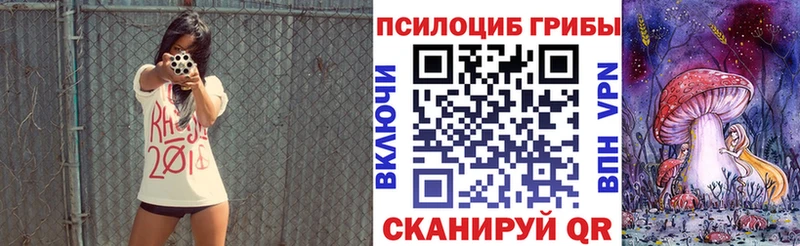 где купить   Елабуга  Галлюциногенные грибы MAGIC MUSHROOMS 